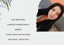 Limpieza profesional