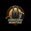 Cerrajero Manitas