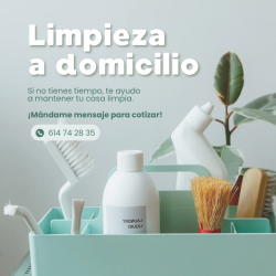 Servicio de limpieza
