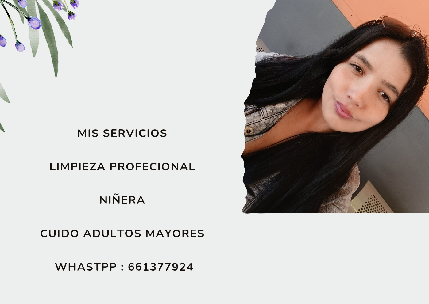 Limpieza profesional — imagen 1